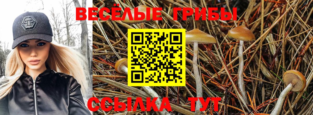 Уварово  Галлюциногенные грибы прущие грибы  Вход с VPN 